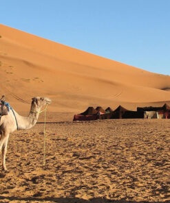 Liwa Camping Overnight Tour in Abu Dhabi | Liwa Desert Safari