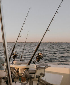 Deep Sea Fishing Trips in Abu Dhabi | Abu Dhabi Fishing Trip